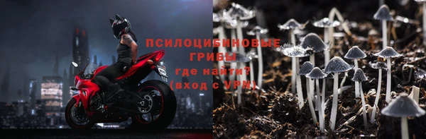 ГАЛЛЮЦИНОГЕННЫЕ ГРИБЫ Баксан